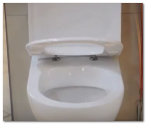 white specks in toilet